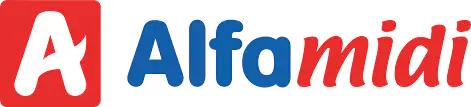 Franchise Alfamidi