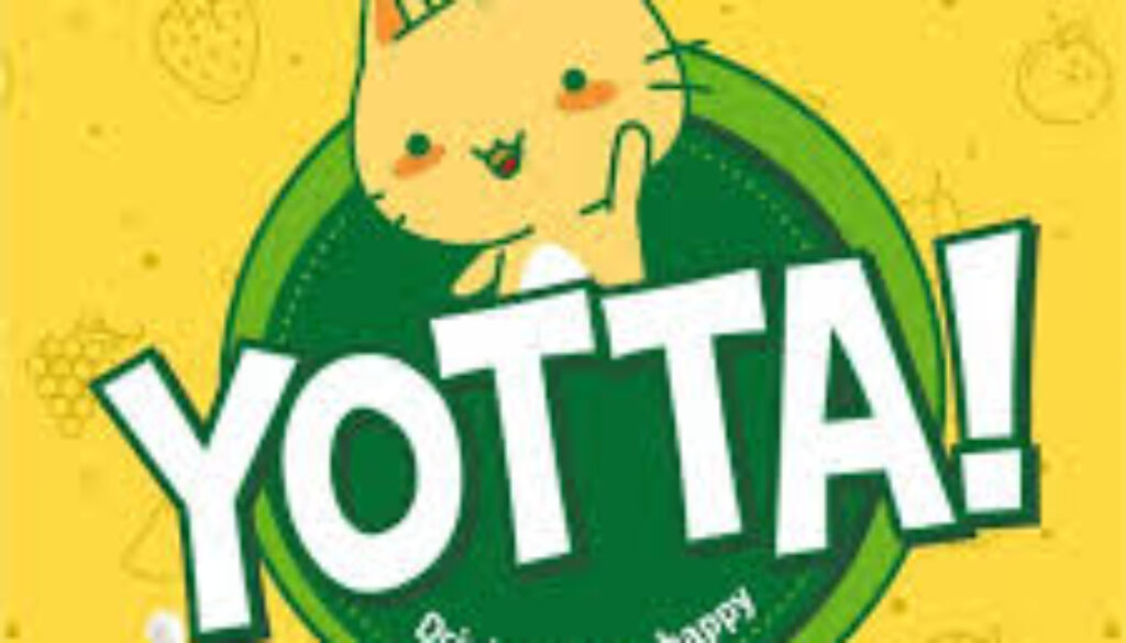 Franchise Yotta