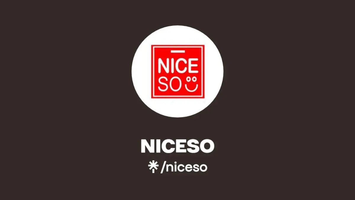 Konsep Bisnis Niceso