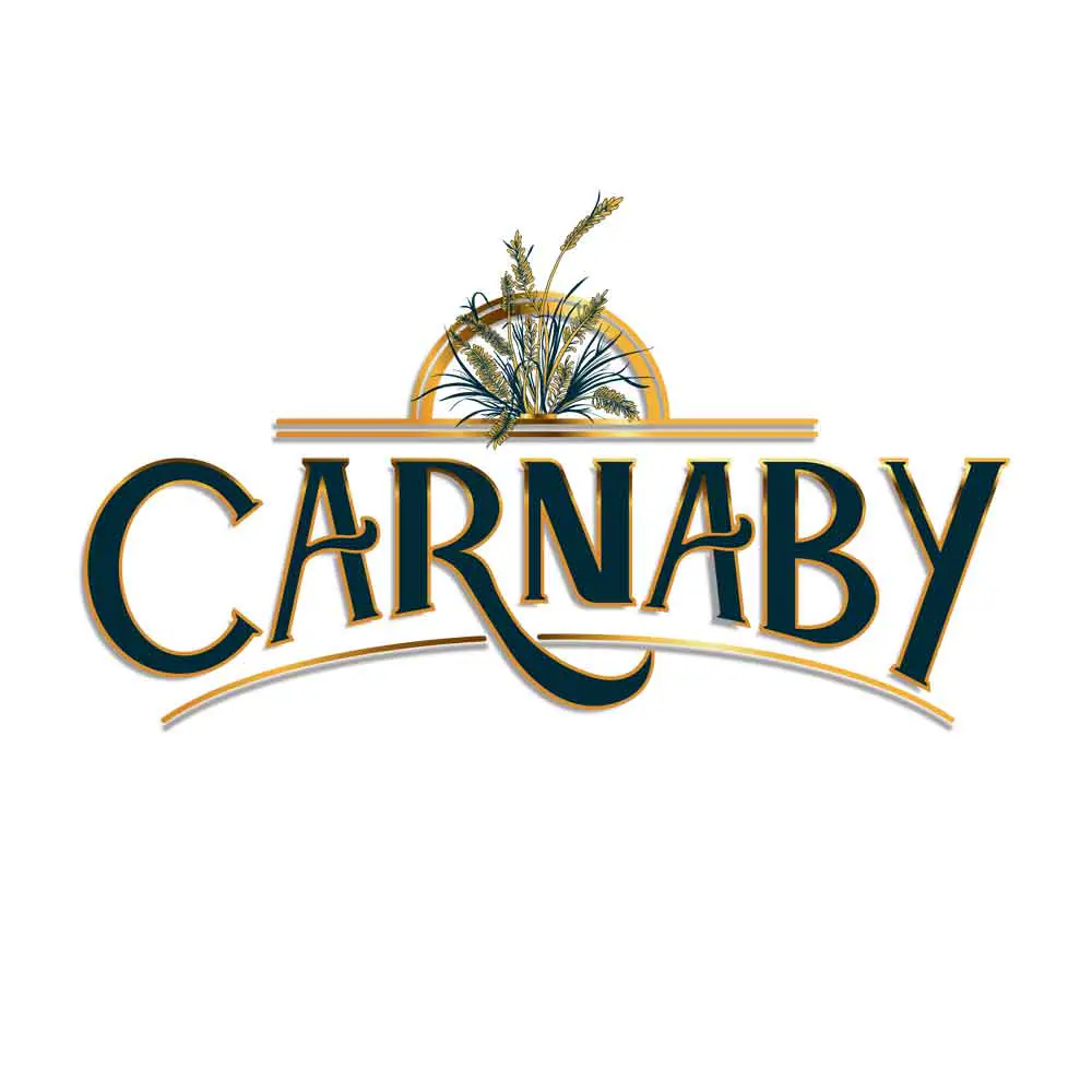 Dukungan Manajemen untuk Pemilik Franchise Carnaby Kitchen
